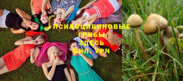 стаф Абаза