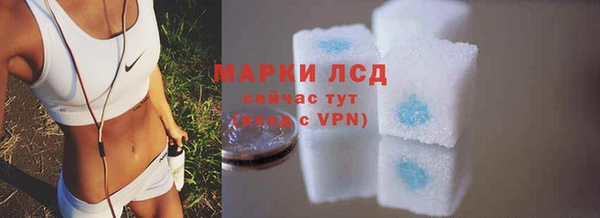 стаф Абаза