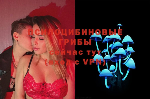 стаф Абаза