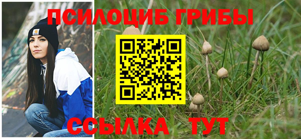 Топки  Псилоцибиновые грибы Psilocybine cubensis  Вход с VPN  Галлюциногенные грибы мицелий 